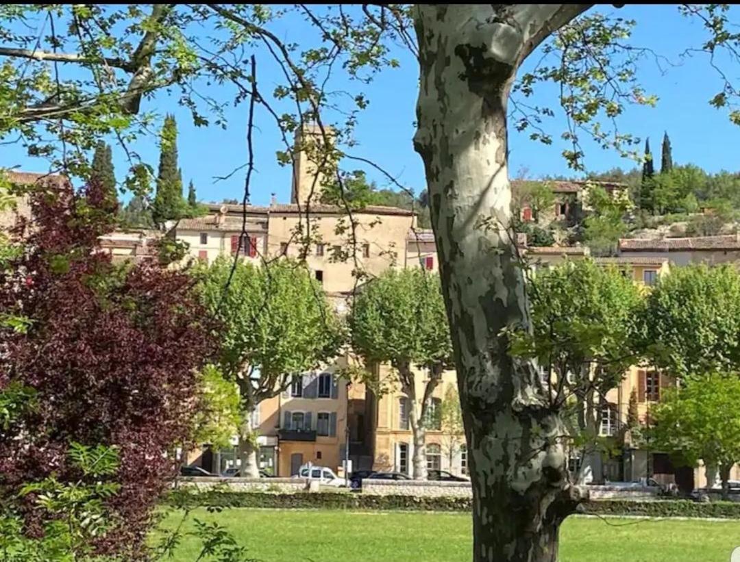 Bastide De L'Oliveraie Avec Jacuzzi Jouques Esterno foto